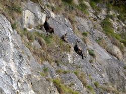 Click to see big picture (1024x768 pixels; 156 KB)