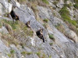 Click to see big picture (1024x768 pixels; 154 KB)