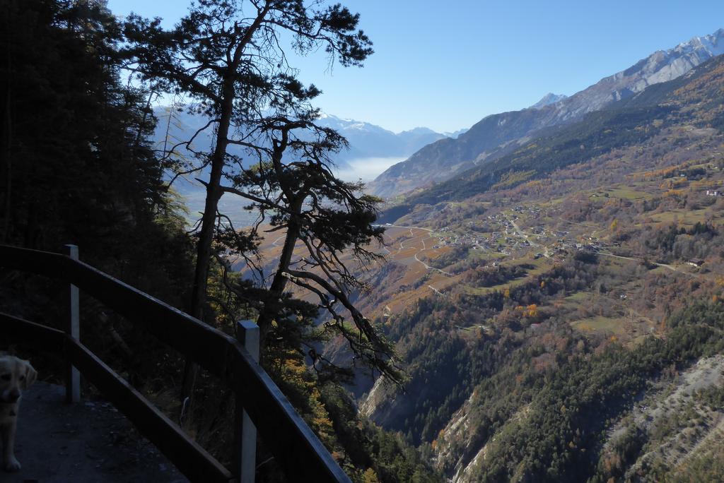 {Clic pour voir plus grand}