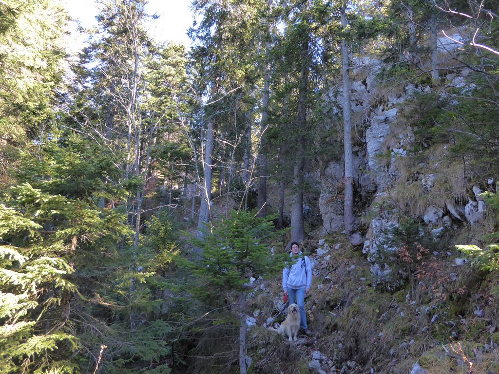 {Clic pour voir plus grand}