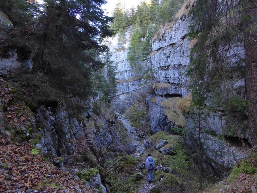 {Clic pour voir plus grand}