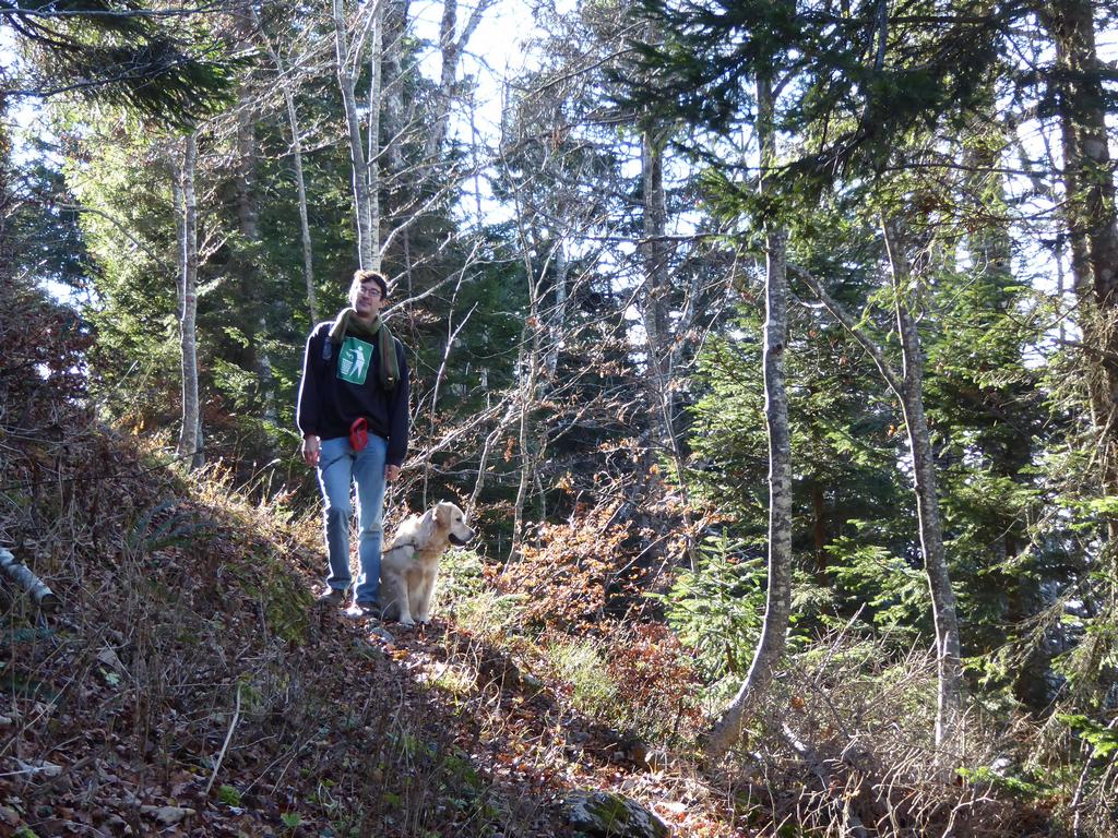 {Clic pour voir plus grand}