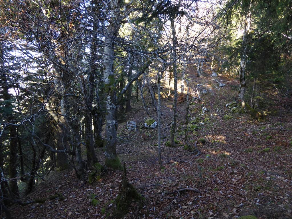 {Clic pour voir plus grand}