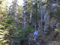 Click to see big picture (1024x768 pixels; 226 KB)