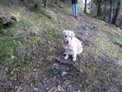 Click to see big picture (1024x768 pixels; 244 KB)