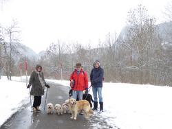 Click to see big picture (1024x768 pixels; 120 KB)