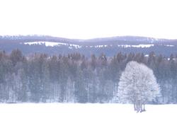 Click to see big picture (1024x768 pixels; 57 KB)