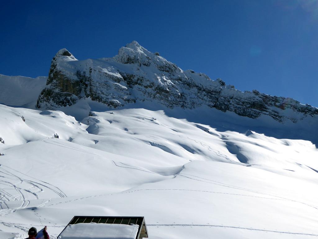 {Clic pour voir plus grand}