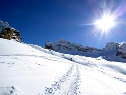 Click to see big picture (1024x768 pixels; 78 KB)