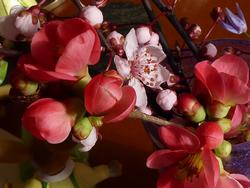 Click to see big picture (1024x768 pixels; 93 KB)