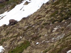 Click to see big picture (1024x768 pixels; 183 KB)