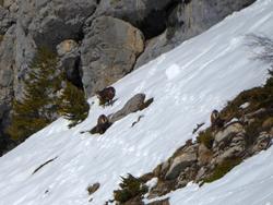 Click to see big picture (1024x768 pixels; 113 KB)