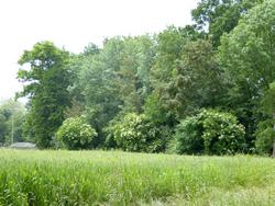 Click to see big picture (1024x768 pixels; 200 KB)