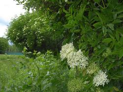 Click to see big picture (1024x768 pixels; 158 KB)