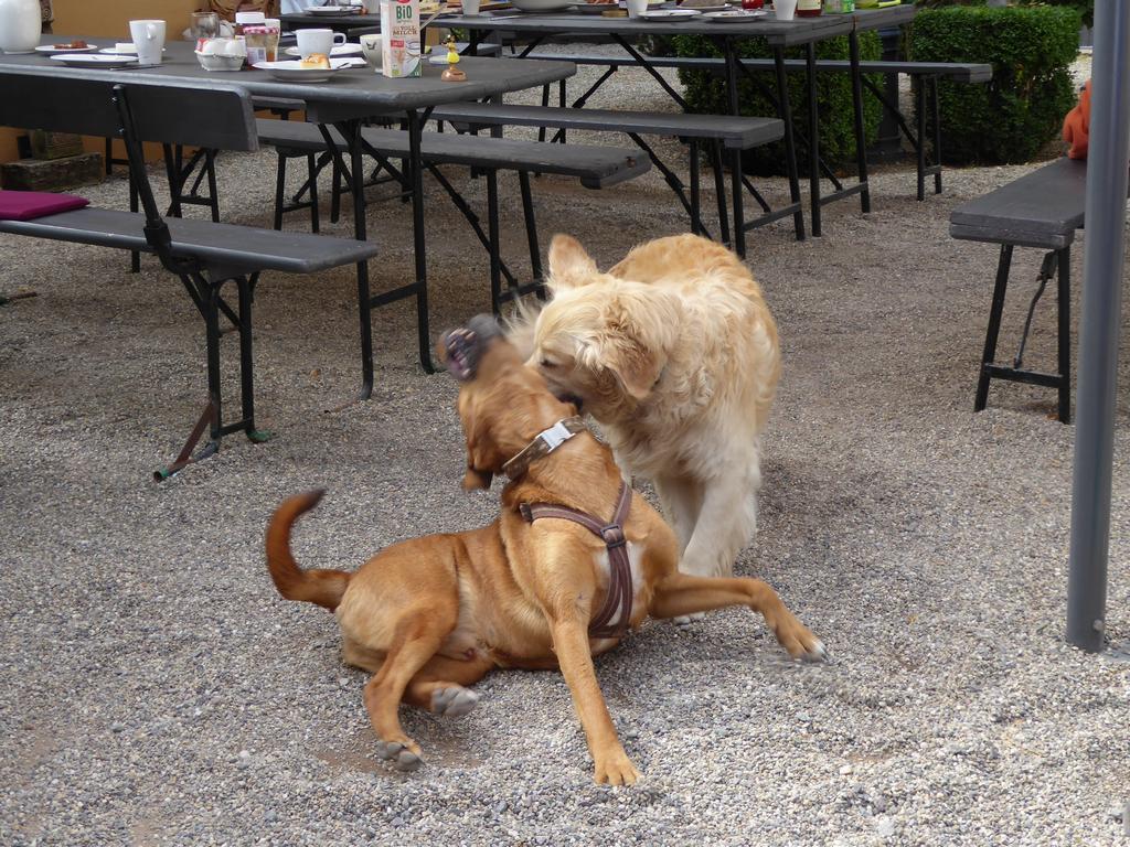 {Clic pour voir plus grand}