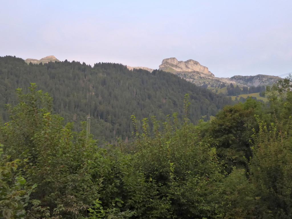 {Clic pour voir plus grand}