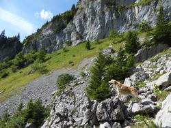 Click to see big picture (1024x768 pixels; 225 KB)