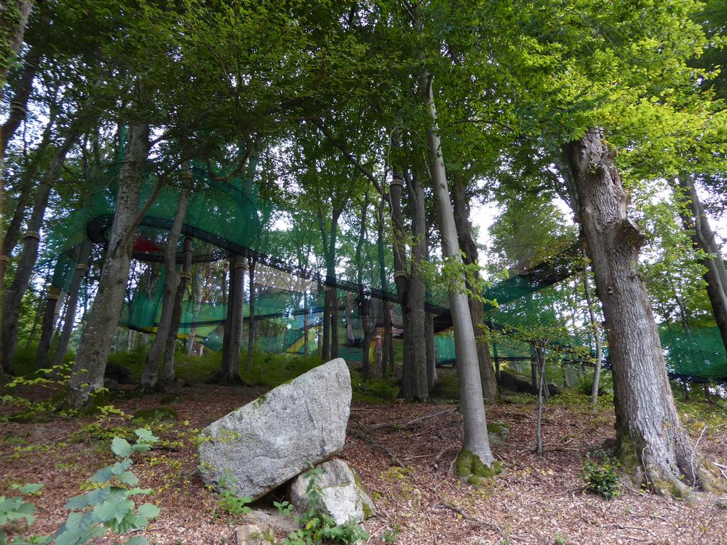 {Clic pour voir plus grand}