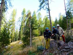 Click to see big picture (1024x768 pixels; 213 KB)