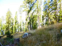 Click to see big picture (1024x768 pixels; 238 KB)