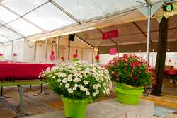 Pour agrandir l'image (1024x685 pixels; 142 KB)