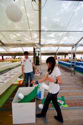 Pour agrandir l'image (514x768 pixels; 86 KB)