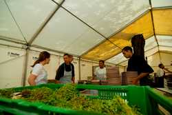 Pour agrandir l'image (1024x685 pixels; 116 KB)