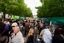 Pour agrandir l'image (1024x685 pixels; 153 KB)