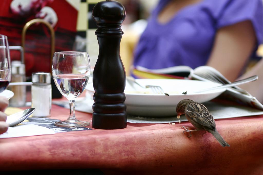 Pour l'image suivante