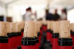 Pour agrandir l'image (1024x683 pixels; 60 KB)