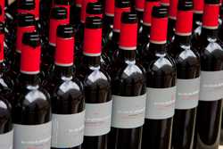 Pour agrandir l'image (1024x685 pixels; 99 KB)