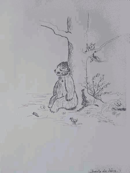 Cliquer pour voir l'image suivante