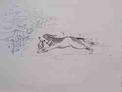 Cliquer pour agrandir l'image (800x600 pixels; 29 KB)