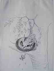 Cliquer pour agrandir l'image (450x600 pixels; 24 KB)