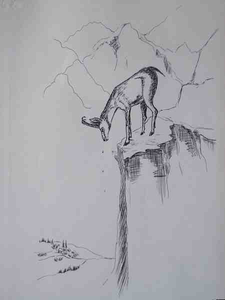 Cliquer pour voir l'image suivante