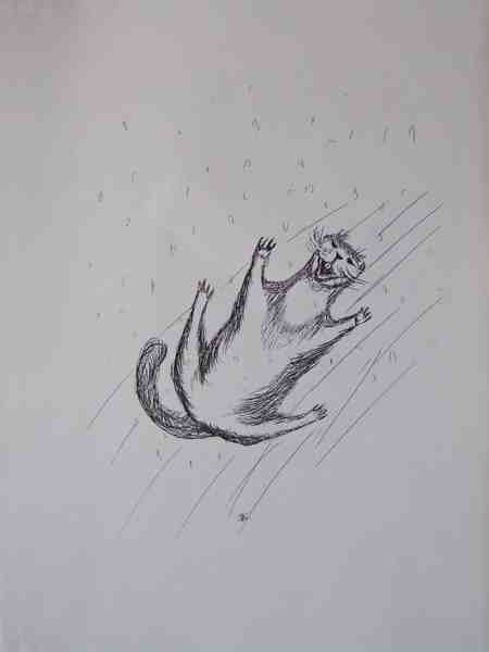 Cliquer pour voir l'image suivante