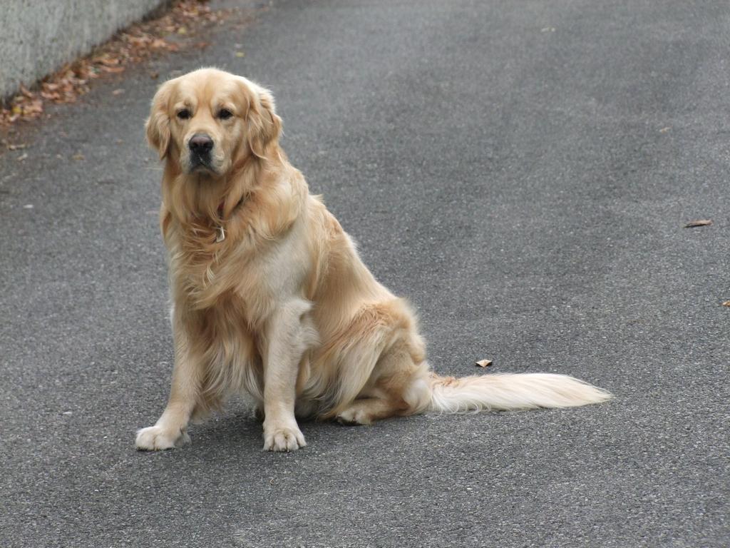 clic ici pour suivante