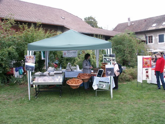 Click to see next picture