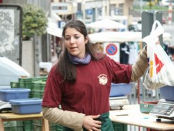 Click to see big picture (667x500 pixels; 80 KB)